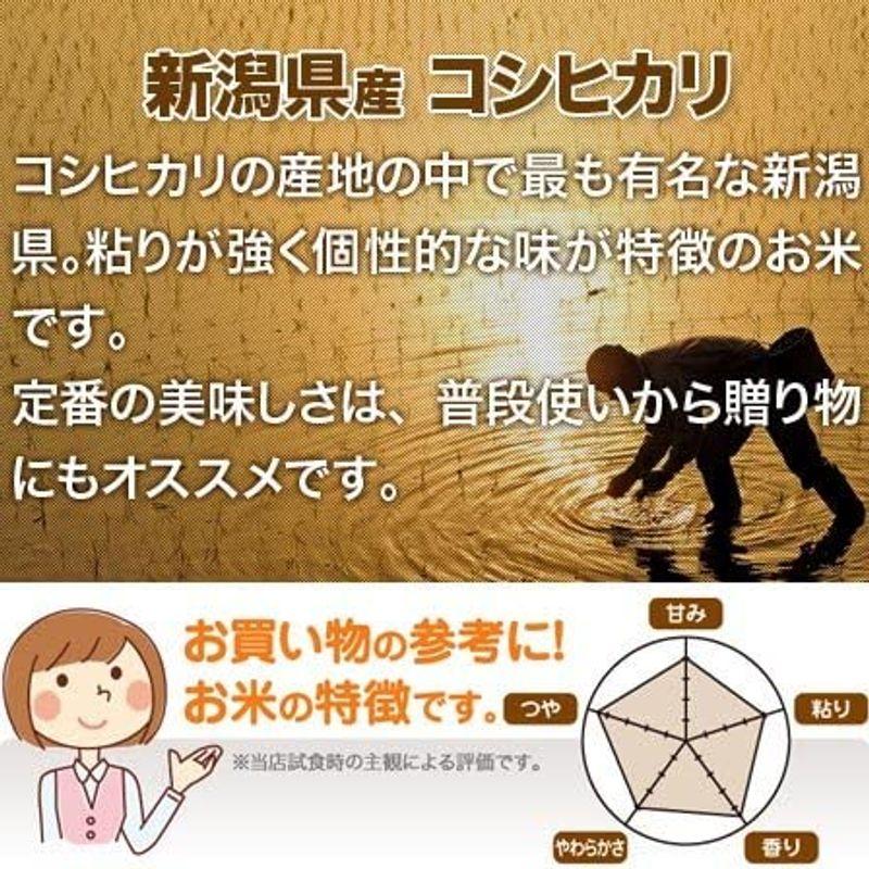 出荷日に精米 新潟県産 コシヒカリ 白米 15kg (5kg×3袋) 令和4年産