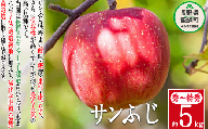 りんご サンふじ 秀 ～ 特秀 5kg 渡辺農園 沖縄県への配送不可 2023年12月上旬頃から2024年1月中旬頃まで順次発送予定 令和5年度収穫分 エコファーマー認定 減農薬栽培 長野県 飯綱町 [0169]