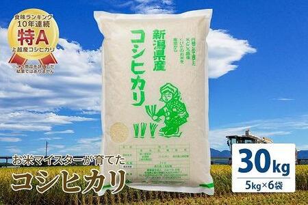 令和5年産 お米マイスターが育てた上越産コシヒカリ30kg (5kg×6)白米　精米