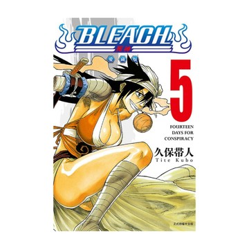 BLEACH死神愛藏版(5)