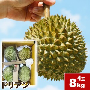 ドリアン 8kg 4玉 　果物の王様  dorian pine 甘い 果物 フルーツ送料無料