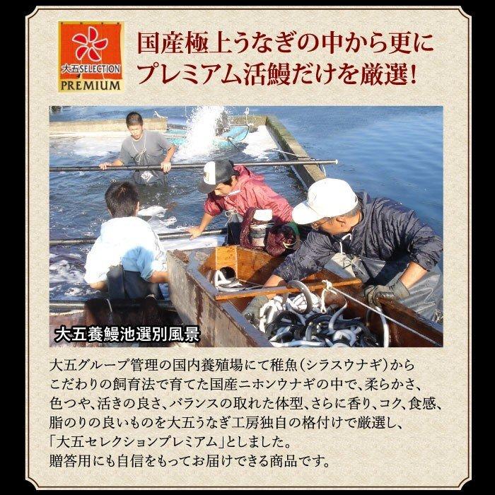 国産うなぎ ハーフカット4パック＆重箱2個セット 2人前 お歳暮 うなぎ 鰻 蒲焼き 蒲焼 国産 お重 うな重 食べ物 グルメ 内祝い 御祝 贈答 ギフト 冷凍