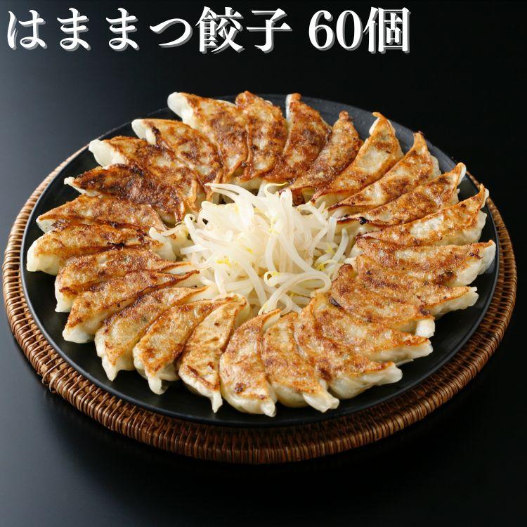 はままつ餃子 60個 餃子の街 浜松 野菜たっぷり 国産豚肉使用 送料無料