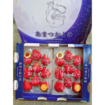 日本 三重縣 稀有品種 四星 よつぼし 《天》草莓｜日本草莓禮盒