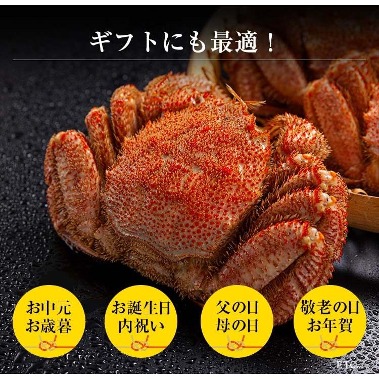 北海道産　毛ガニ　ボイル冷凍 450ｇ×2尾入り 中型　毛がに姿 カニ味噌 かに通販 毛蟹お取り寄せ ギフト