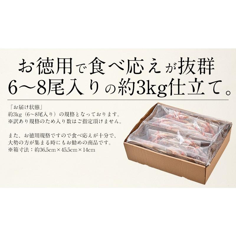 かに カニ 蟹 ズワイガニ 訳あり 姿 3kg （6〜8尾入り） ボイル ずわいがに ズワイ蟹 ずわい蟹 同梱不可 冬グルメ 冬ギフト