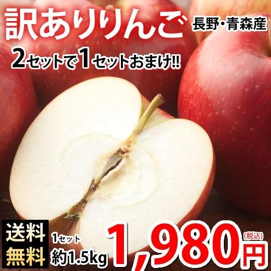 りんご 訳あり リンゴ 送料無料 約1.5kg 長野・青森県産 2セットで1セットおまけ お取り寄せ サンふじ つがる ジョナゴールド ふじ 林檎