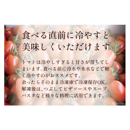 ふるさと納税 長崎県 島原市 AA001 全国にファンがいる高級フルーツトマト どっさり！アイコ 3kg