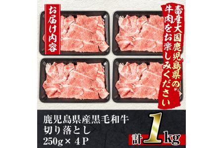 No.706 鹿児島県産黒毛和牛切り落とし(計1kg・250g×4P)