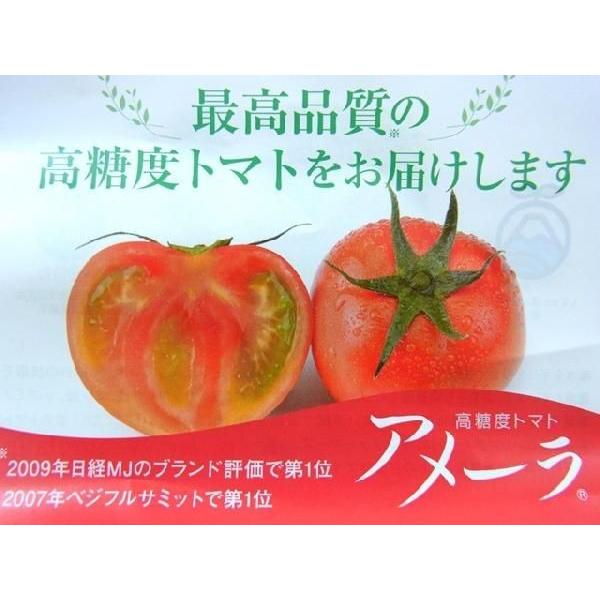 静岡県 ”高糖度フルーツトマト アメーラ” 大きさおまかせ 約1kg ほんのちょっと訳あり 化粧箱入り