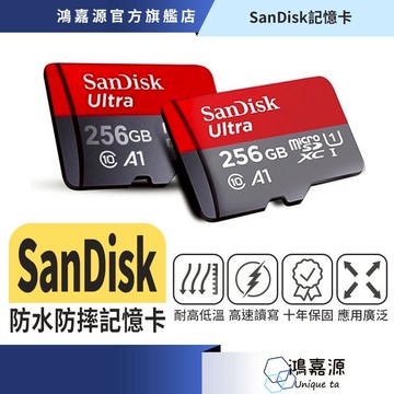 鴻嘉源 SanDisk 防水防摔 C10記憶卡  監視器專用五米延長 五天線監視器 攝影機監控
