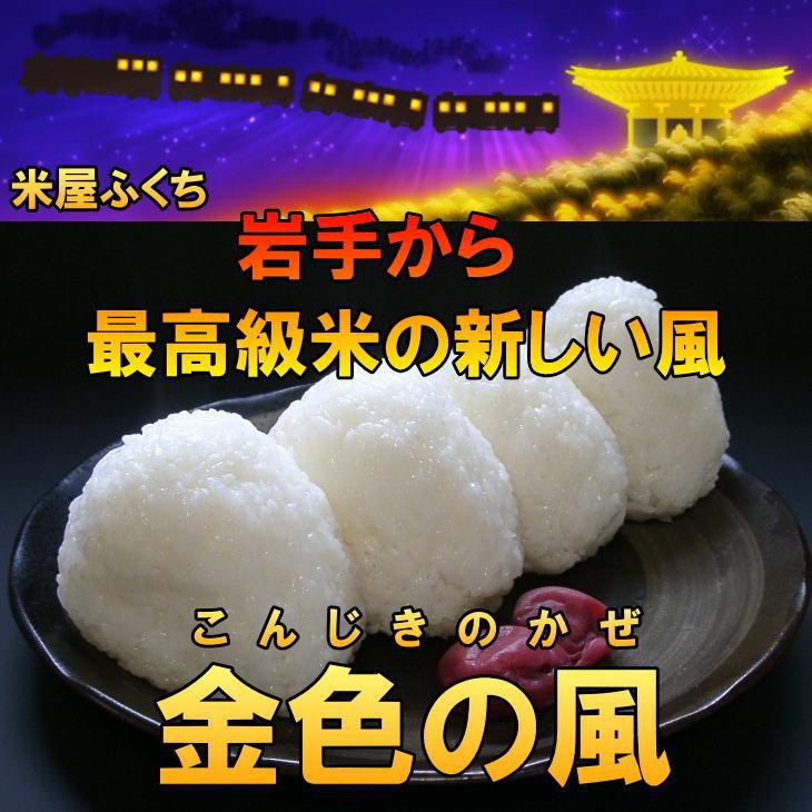 米　新米　金色の風　2kg　白米　玄米もOK　送料無料　発送日当日精米　お米　新品種　岩手県産　令和5年産米　2キロ　1注文10個まで