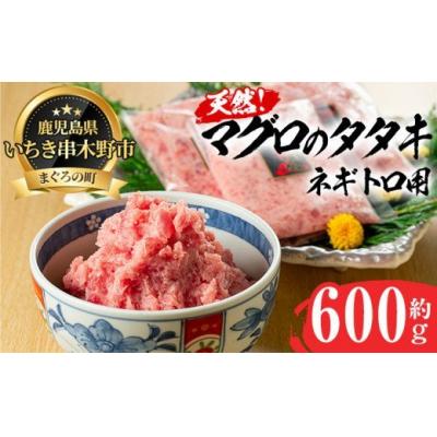 ふるさと納税 いちき串木野市 ネギトロ用マグロのタタキ　約600g