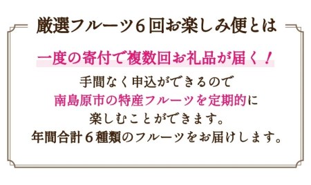 フルーツ定期便 旬の果物をお任せで6回お届け みかん ぶどう びわ すいか 梨 いちご メロン 果物定期便 新鮮 スイカ   南島原市   長崎県農産品流通合同会社 [SCB010]