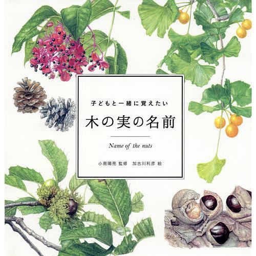 子どもと一緒に覚えたい木の実の名前 小南陽亮 加古川利彦