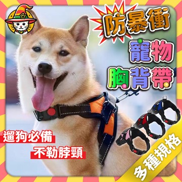 【台灣現貨】寵物胸背帶 牽引繩 寵物背帶 狗狗胸背帶 貓咪牽引繩 可調節 防掙脫 舒適透氣 安全必備
