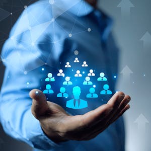 Liderando Equipos de Trabajo