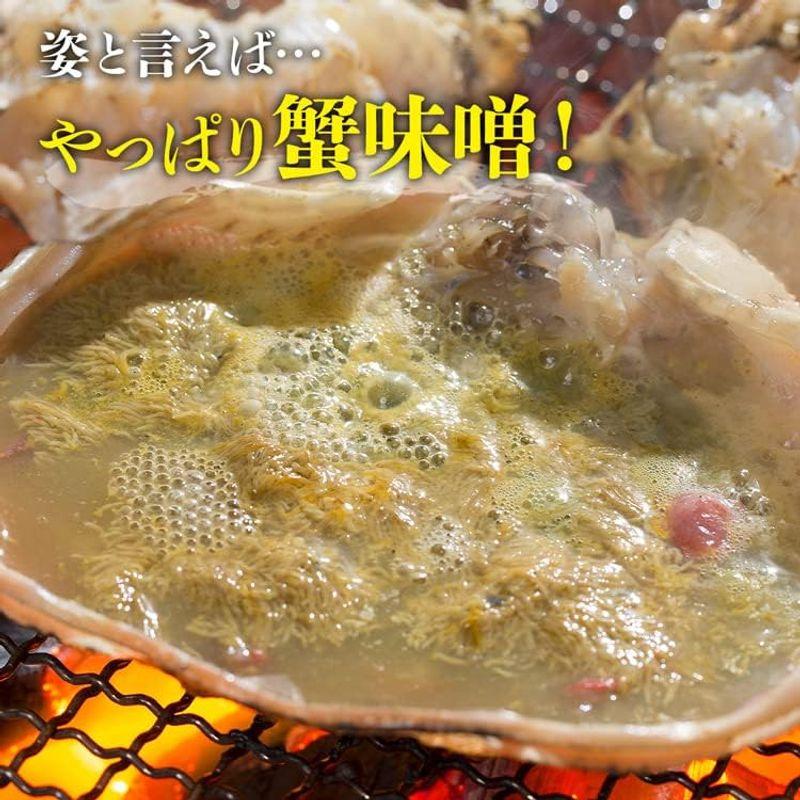 食の達人 姿ズワイガニ 高級カナダ産 姿ずわい2尾 約1.3kg(1.2kg?1.4kg) カニ かに 蟹 味噌