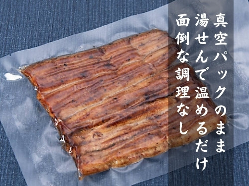 うなぎ蒲焼き 真空パック 100g