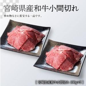 ふるさと納税 ※令和6年2月より順次発送※《生産者支援品》宮崎牛モモステーキ (宮崎県産和牛こま切れ付き) 合計 600g【肉 牛肉 国産 黒毛和牛 .. 宮崎県川南町