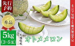 082-2茨城県産オトメメロン約5kg（3~5玉）