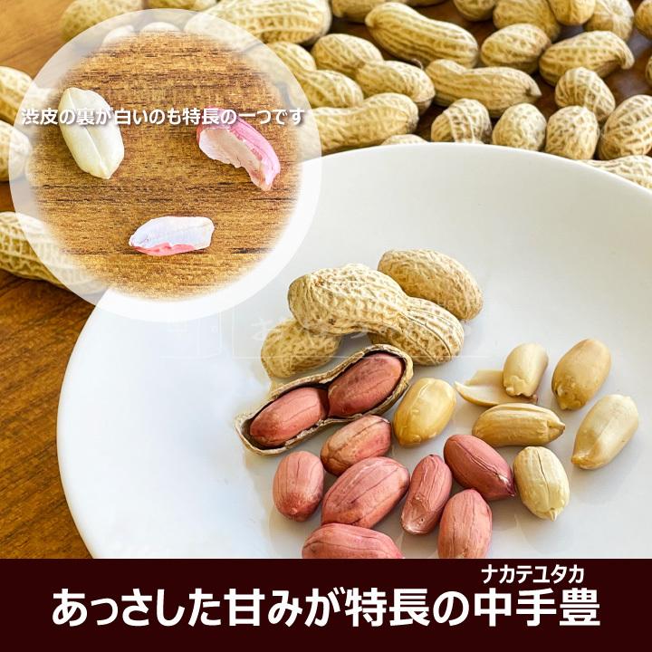 千葉県産 からつき 落花生 国産 3種セット 中手豊 千葉半立 Qナッツ 八街 やちまた 殻付き ピーナッツ ピーナツ 遠赤焙煎