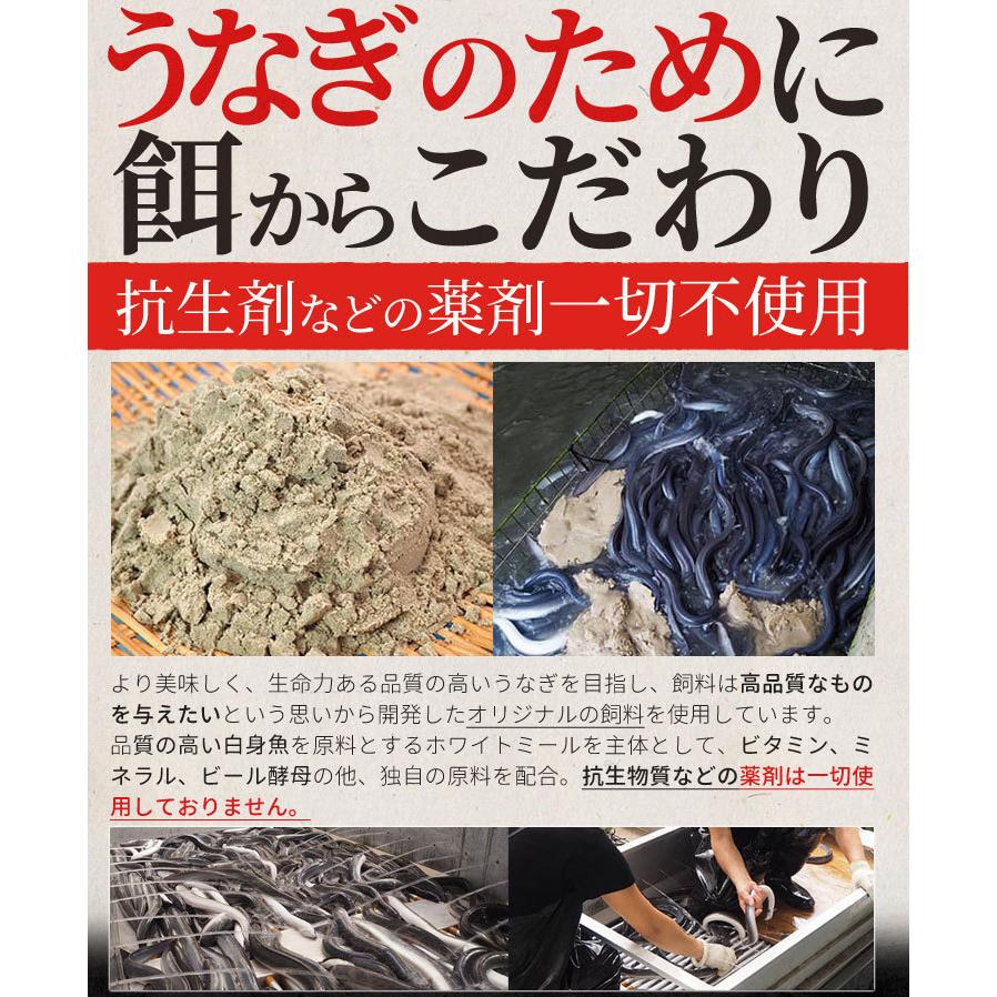 うなぎ 伊勢志摩産 たれ 中サイズ ２尾 たれ付 送料無料 国産 ウナギ 鰻 蒲焼き 丑の日 個包装 冷凍 化粧箱入 お歳暮 ギフト