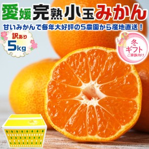 小玉・愛媛みかん 訳あり 5kg 小玉 2S～S (愛媛県宇和島産 みかん・小玉 2S～Sサイズ混合・家庭用…