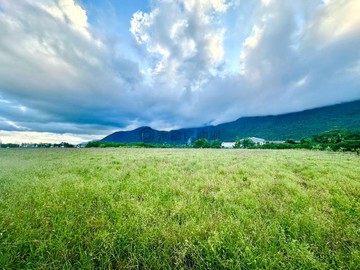 獨家專售花蓮新城大地坪優質超級美農地｜花蓮縣新城鄉廣安段