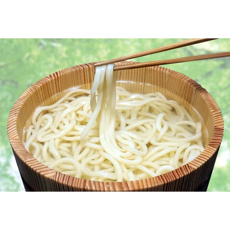 たらいうどん（細切）