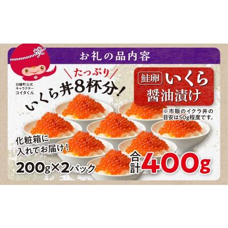 ふるさと納税 ＼大人気品／ エンペラーサーモン 900g × 訳あり いくら 400g 200g ×2 の 親子丼セット サーモン 小分け 刺身 食べ.. 北海道白糠町