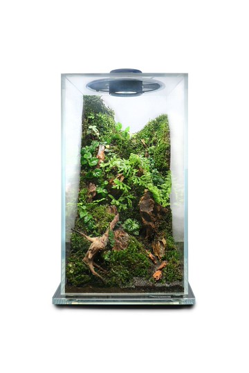 【訂製】蕨醒科技生態瓶-科技方缸(中)