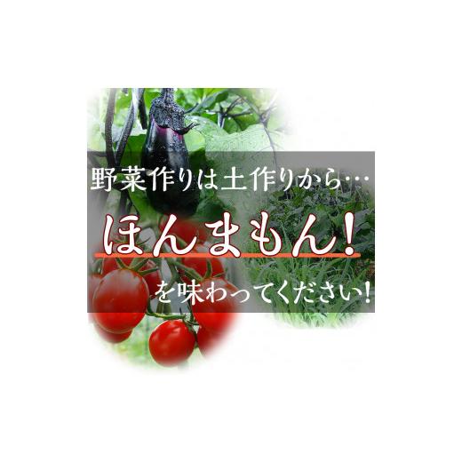 ふるさと納税 京都府 亀岡市 ＜アスカ有機農園＞旬の京野菜セットL（平飼い卵付）＊毎月お届け全6回