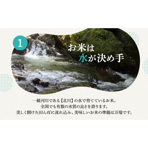 ふるさと納税 福井県 若狭町 令和5年産 福井県若狭町コシヒカリ（一等米） 5kg（山心ファーム） [No.5580-0460]