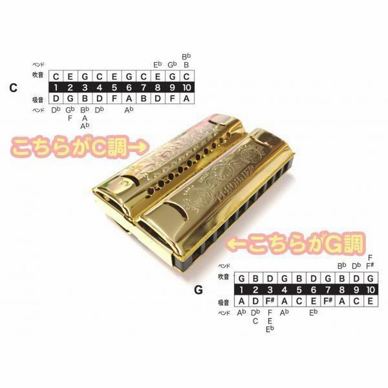 HOHNER ダブルパック 553/40/CG アウトレット ミニハーモニカ ゴールド