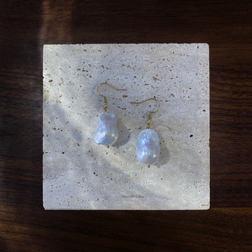 Atelier Pluton實驗序號 | PL401