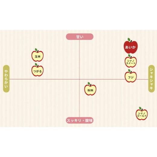 ふるさと納税 長野県 箕輪町 〈家庭用〉あいかの香り 約5kg りんご リンゴ 林檎 長野 フルーツ 果物 信州産 長野県産 特産 産地直送 希少 おすすめ　[No.5675-…