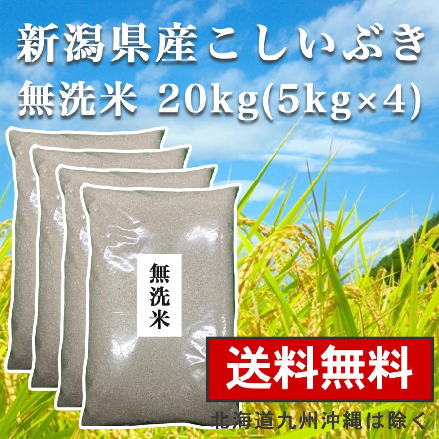 無洗米 20kg(5kg×4) 送料無料 新潟県産 お米 こしいぶき