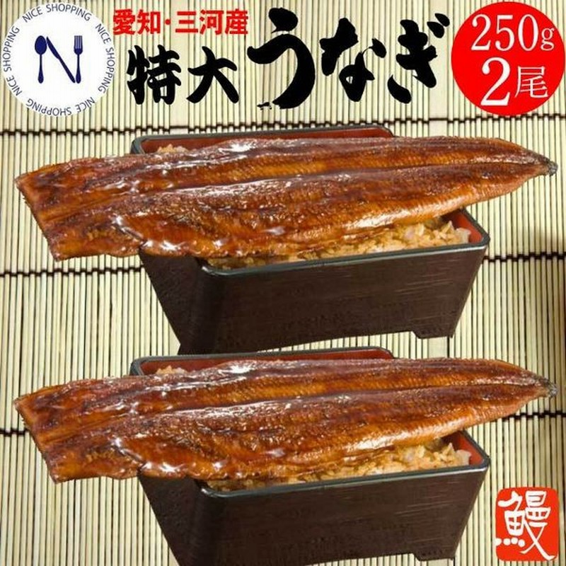 特大鰻蒲焼 愛知 三河産 国産うなぎ ウナギ 鰻 蒲焼き ひつまぶし うな重 高級 お取り寄せ グルメ プレゼント 贈り物 ギフト あす楽 旬 土用の丑の日 タンパク質 通販 Lineポイント最大0 5 Get Lineショッピング