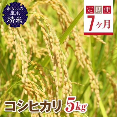 ふるさと納税 西会津町  環境に配慮し栽培期間中、農薬を減らした栽培米 コシヒカリ精米5kg
