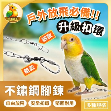 【鳥國王】不鏽鋼鸚鵡腳鍊 鳥用腳鍊 白鐵鳥腳鍊 鸚鵡外出鏈子 鳥活動腳環 鴿子腳鍊 鸚鵡牽引鏈 鸚鵡用品 鳥用品