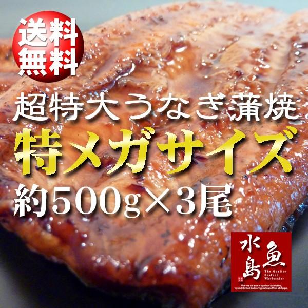 炭火焼 鰻うなぎ蒲焼き 超特大 極厚の食べ応え 特メガサイズ 約500g×3尾 父の日ギフト 土用丑の日 お中元 送料無料