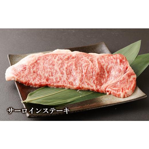 ふるさと納税 熊本県 益城町 黒毛和牛サーロイン 馬肉サーロイン ラインチステーキ 合計1.2kg