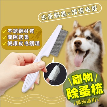 【台中現貨12H出貨】除蚤梳  寵物除蚤 寵物梳 跳蚤梳 刷毛梳 寵物除蚤梳 寵物梳子 蚤梳 寵物跳蚤梳 寵物排梳 除蚤