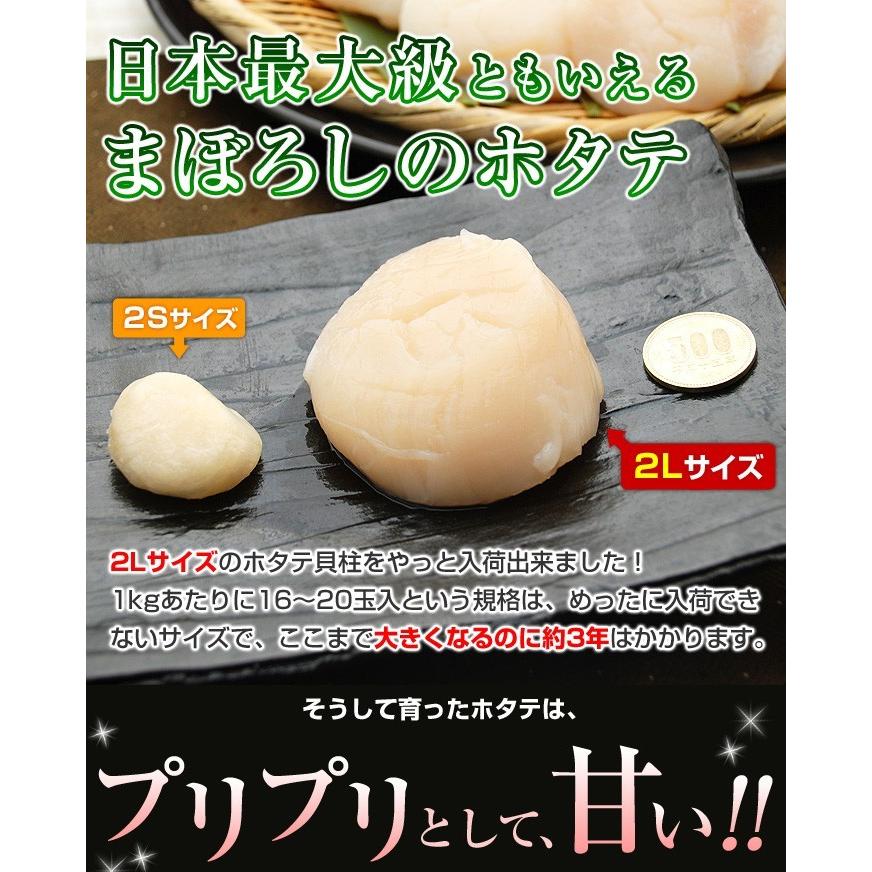 ホタテ貝柱 ホタテ ほたて ホタテ貝柱 1kg 生冷凍 2Lサイズ LLサイズ 特大 ジャンボ ホタテ 貝柱 16-20玉入 ホタテ刺身 冷凍 北海道 お歳暮 ギフト 海鮮 御歳暮