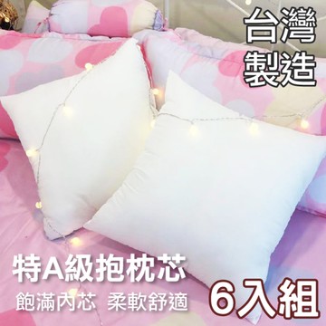 枕心、枕芯、抱枕、純白表布【6入】MIT台灣製造、高品質、柔軟舒適、寢居樂