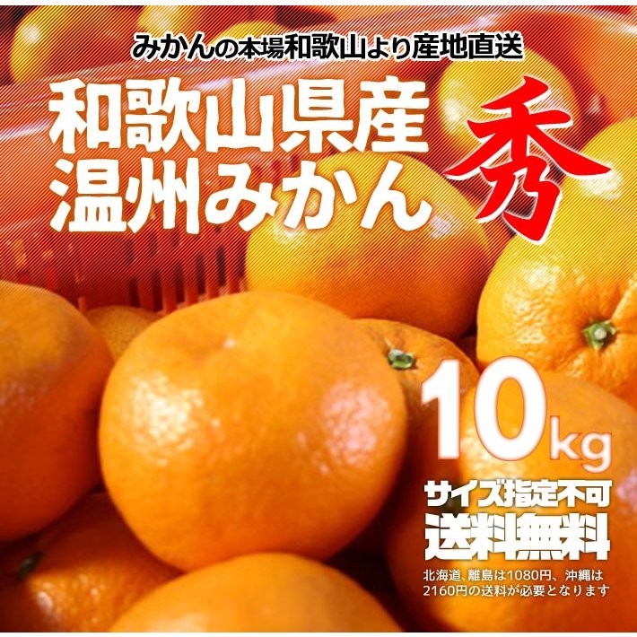 みかん 秀品 10kg （箱込約10kg）和歌山県産 温州みかん 産地直送 無選別 送料無料