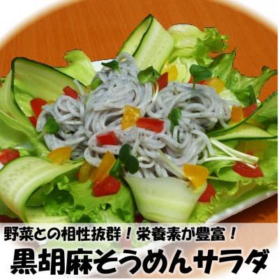 ふるさと納税 雲仙市 黒胡麻素麺　2kg