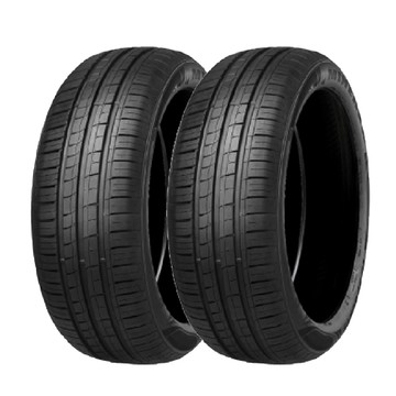 MINERVA米納瓦 【MINERVA】209 米納瓦低噪排水運動操控轎車輪胎 二入組 195/60/15(安托華)適用車款#ALTIS #livina #Lancer   #Corolla Altis