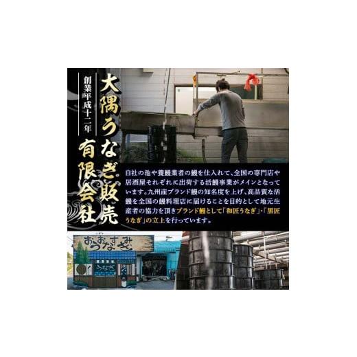 ふるさと納税 鹿児島県 鹿屋市 1958 うなぎ蒲焼 食べ比べ　４尾 計610g 